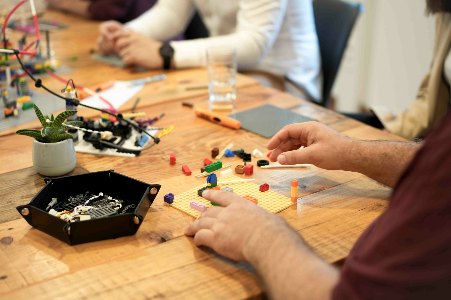 katharina-sowa-48-team-effizienz-exzellenz